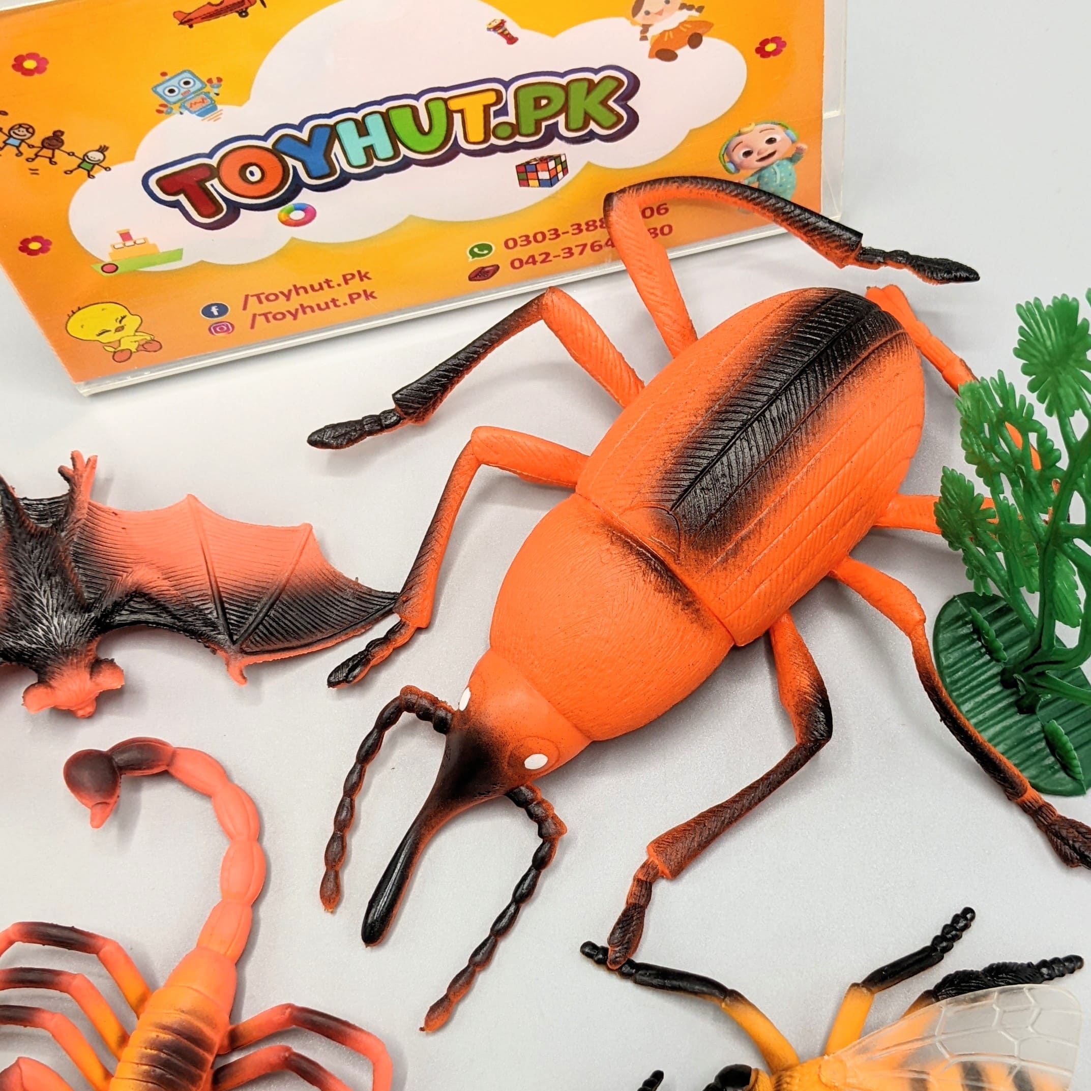 Pack Of 6 Rain Forest Insects Set Toy