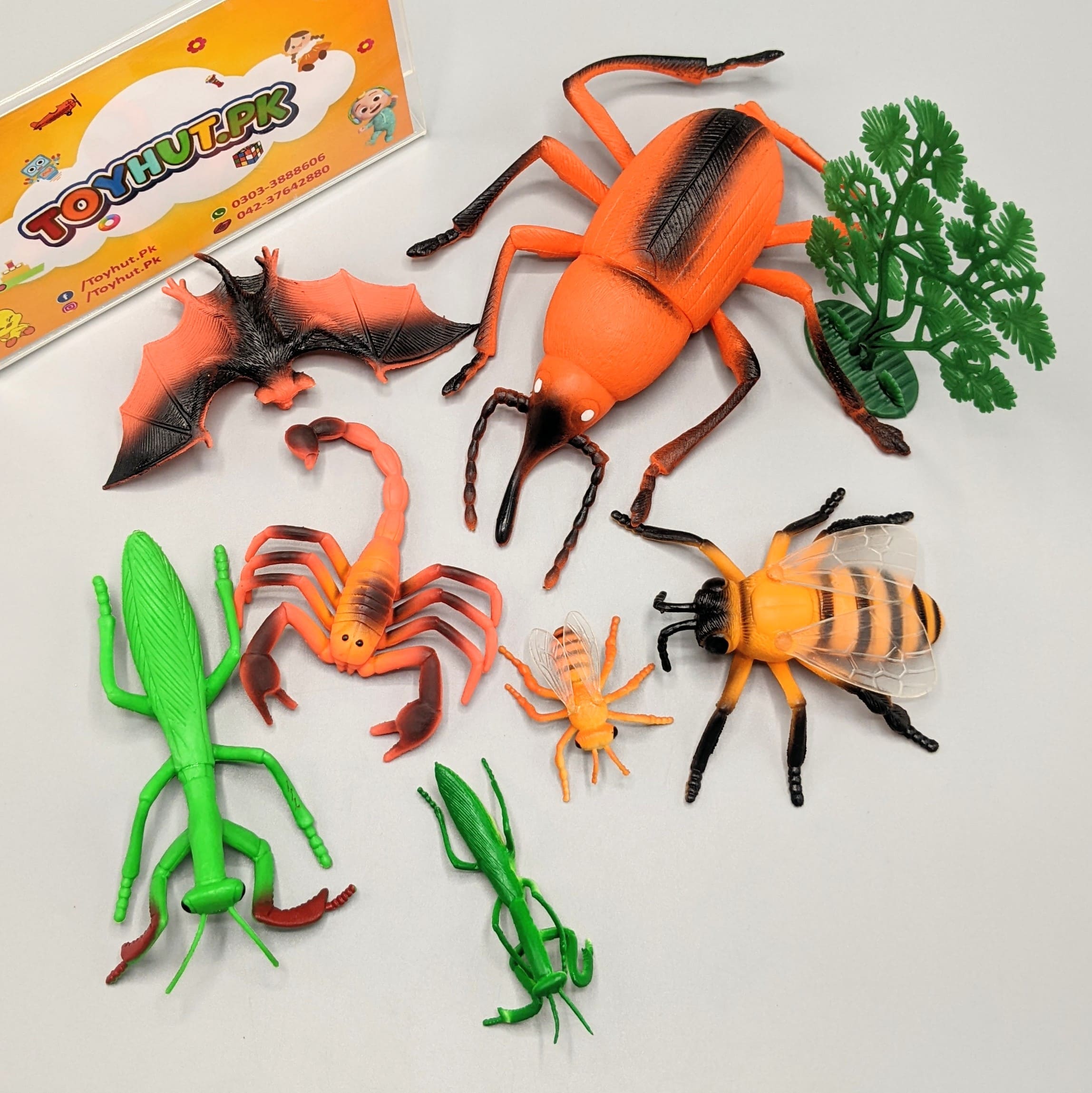 Pack Of 6 Rain Forest Insects Set Toy