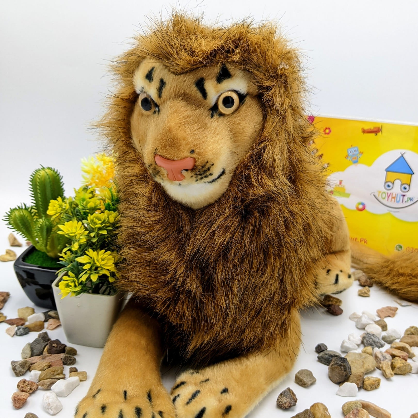 Lion Medium Soft Stuff Toy