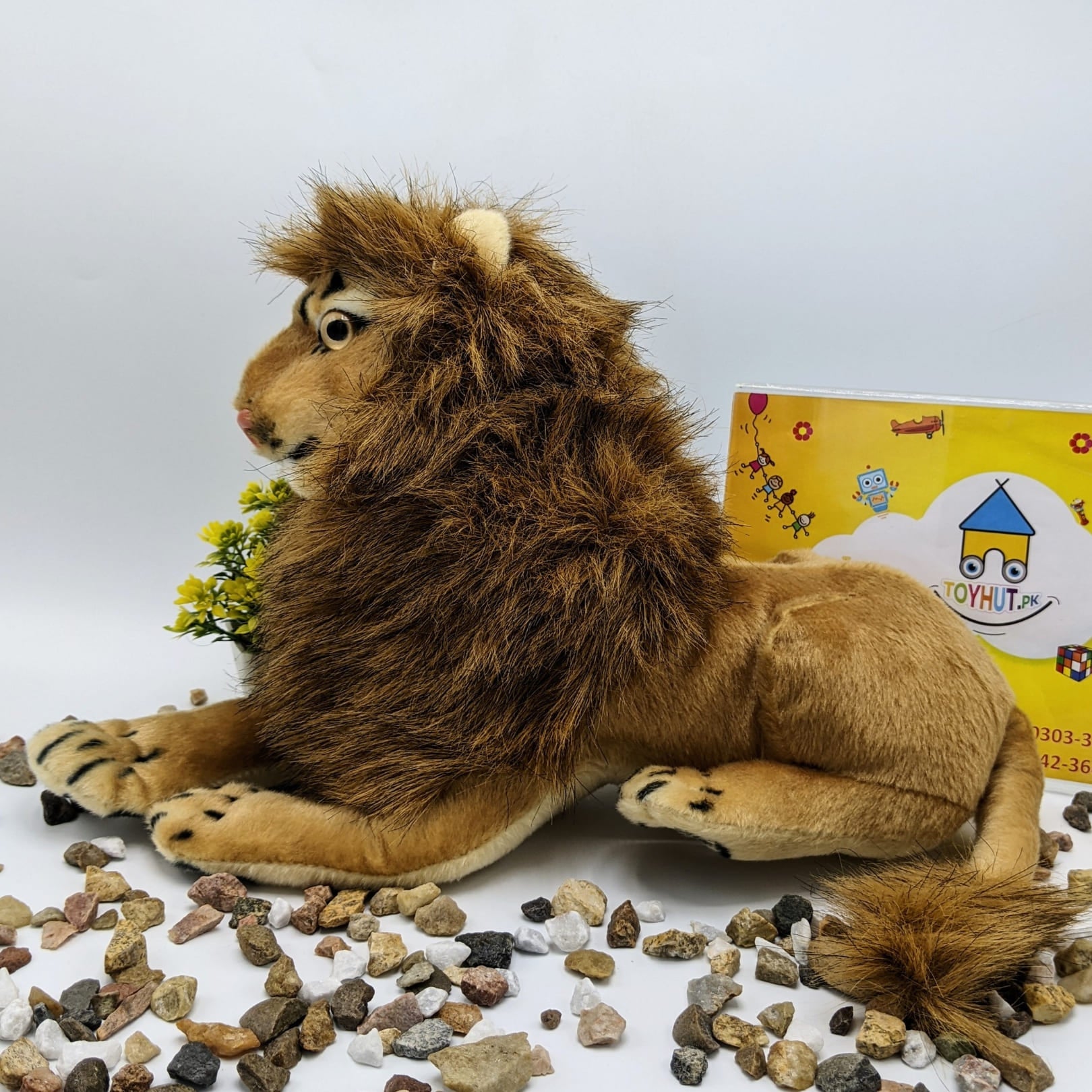 Lion Medium Soft Stuff Toy