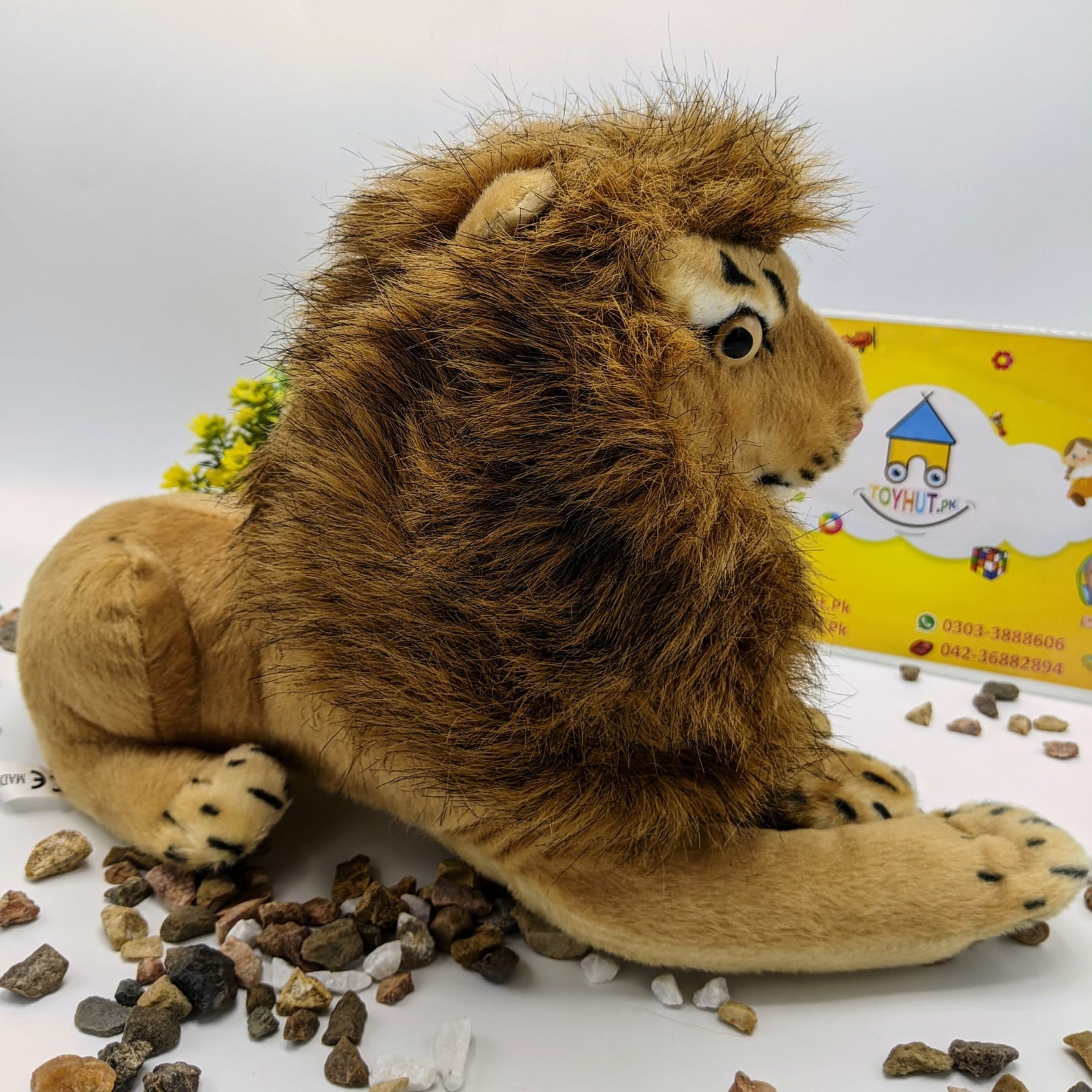 Lion Medium Soft Stuff Toy