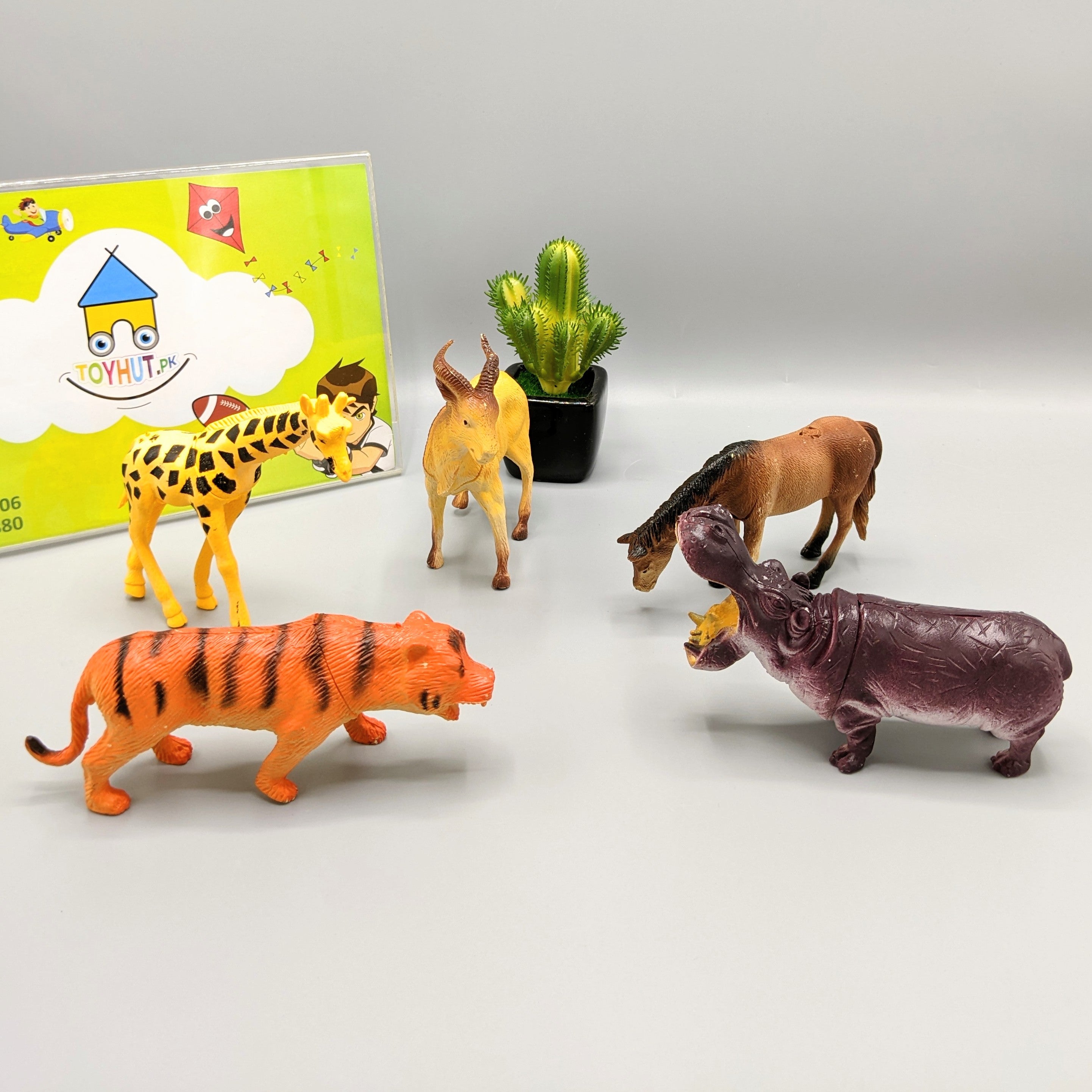 Wild Animal 5 Pcs Zoo Set