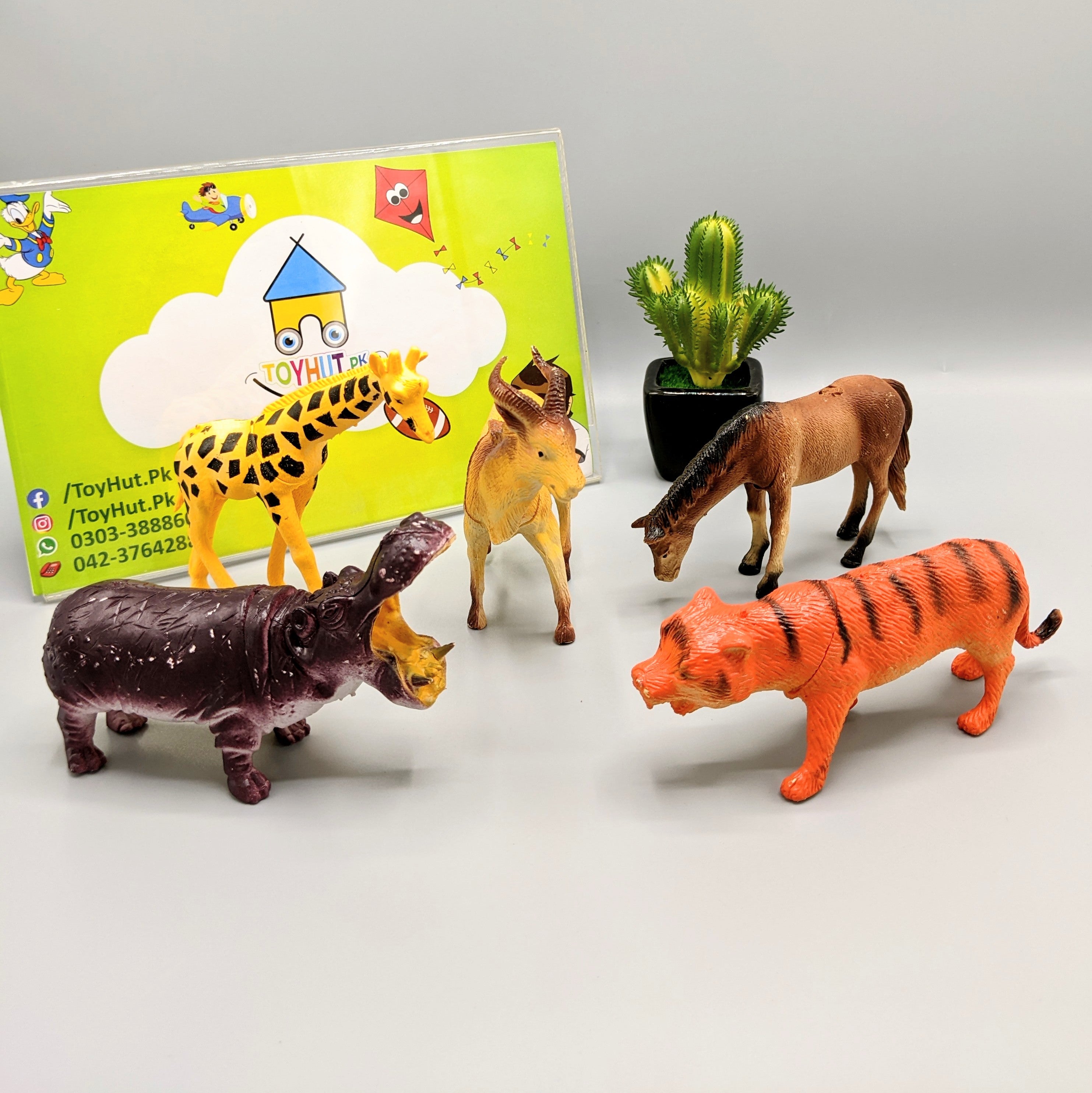 Wild Animal 5 Pcs Zoo Set